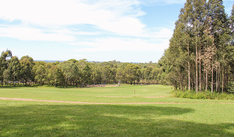 Ironbark Ridge, Rouse Hill Regional Park. Photo: John Yurasek