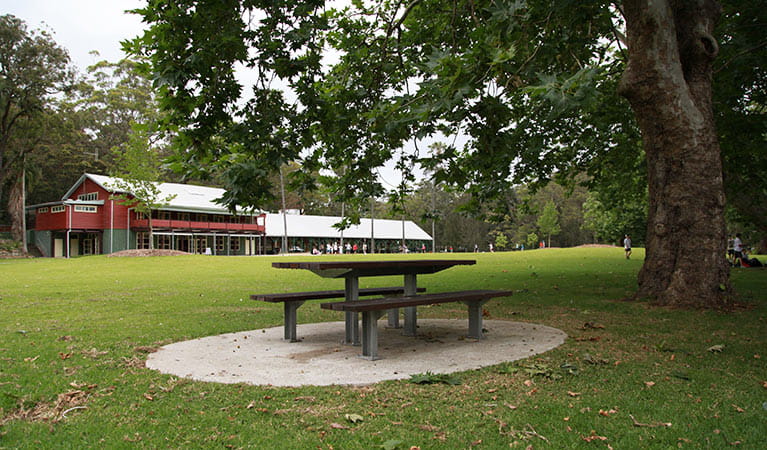 Audley Visitor Centre, Royal National Park. Photo: Andy Richards