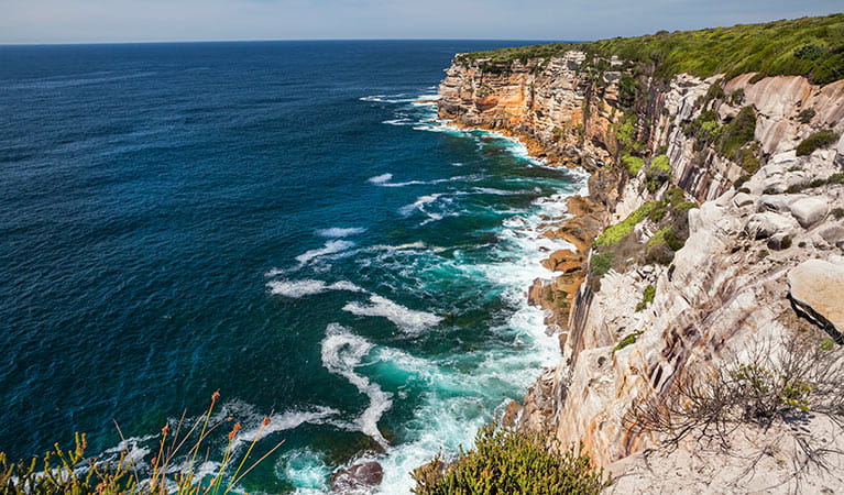 Rocky cliffs dropping off into the ocean, Royal National Park. Photo: David Finnegan