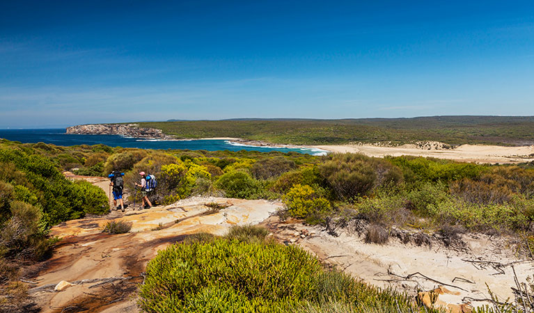 Coastal walk, Royal National Park. Photo: David Finnegan