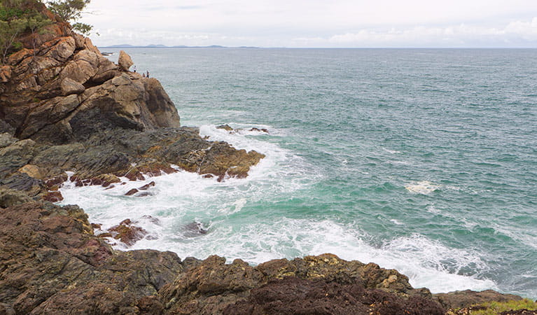 Rocky coastine in Sea Acres National Park. Photo: Rob Cleary
