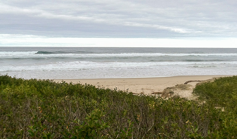 Seven Mile Beach, Seven Mile Beach National Park. Photo: Christina Bullivant