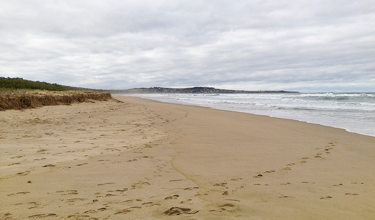 Looking along the beach, Seven Mile Beach National Park. Photo: Christina Bullivant