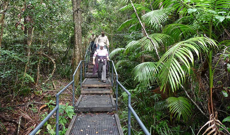 Falls walking track, Sherwood Nature Reserve. Photo: B Webster