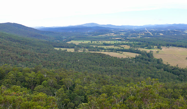 Views along the range, Sherwood Forest Drive, Sherwood Nature Reserve. Photo: OEH