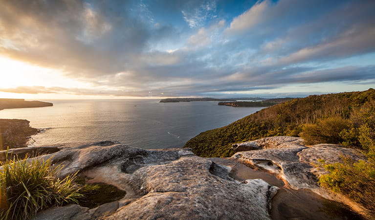 Arabanoo lookout at Dobroyd Head, Sydney Harbour National Park. Photo: David Finnegan