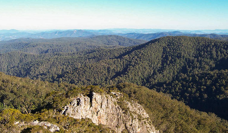 Rowleys Rock lookout, Tapin Tops National Park. Photo: Kevin Carter