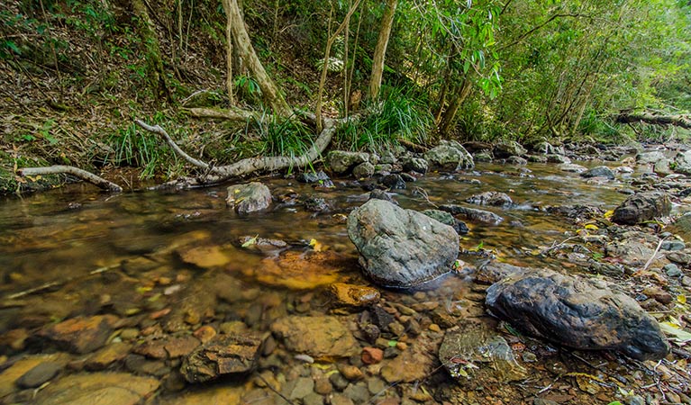 Potaroo Falls picnic area, Tapin Tops National Park. Photo: John Spencer