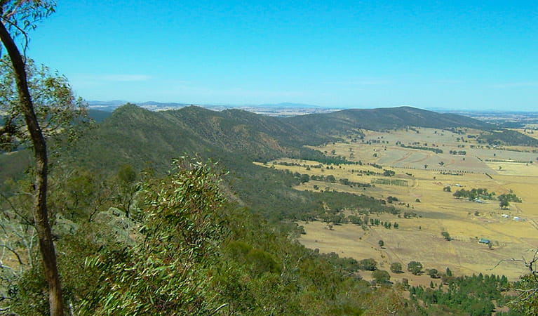 View along the range, The Rock Nature Reserve. Photo: C Killick