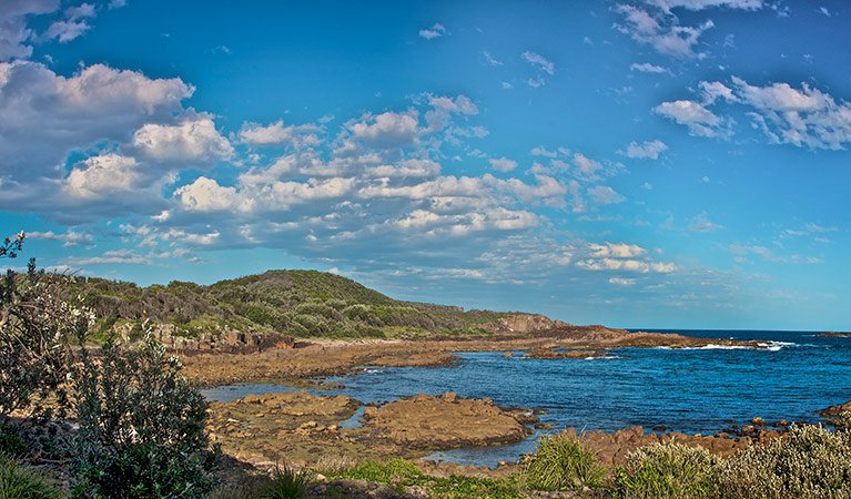 Big Rocky walk, Tomaree National Park. Photo: John Spencer