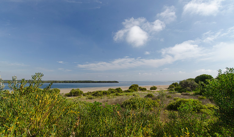 Quibrary Bay viewing platform, Towra Point Nature Reserve. Photo: John Spencer