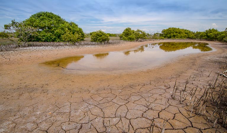 Water hole, Towra Point Nature Reserve. Photo: John Spencer