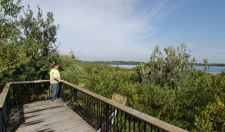 Quibrary Bay viewing platform, Towra Point Nature Reserve. Photo: John Spencer
