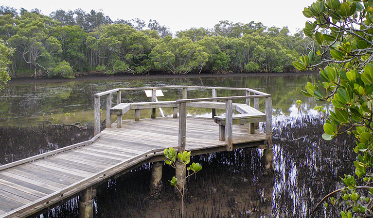 Boardwalk, Tweed Head Historic Site. Photo: OEH