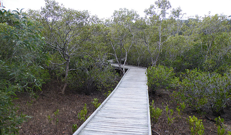 Boardwalk, Tweed Head Historic Site. Photo: OEH