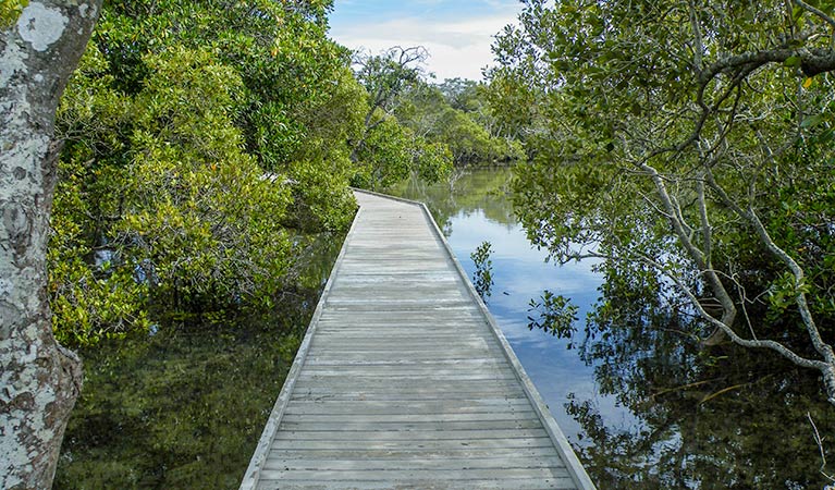 Boardwalk, Tweed Head Historic Site. Photo: OEH