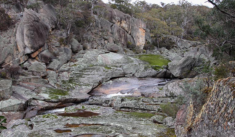 Rocky creek, Wadbilliga National Park. Photo: L Morrell/OEH