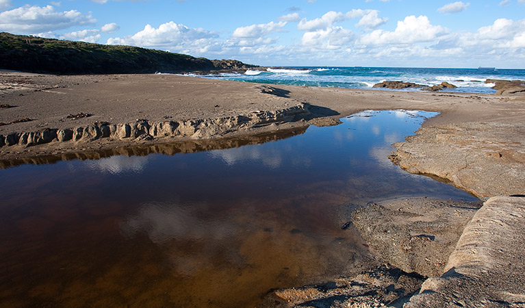 Pinny Beach, Wallarah National Park. Photo: Susan Davis