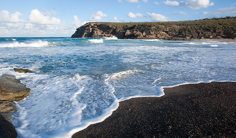 Pinny Beach, Wallarah National Park. Photo: Susan Davis