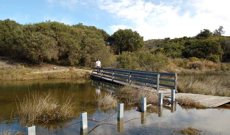 Pinny Beach, Wallarah National Park. Photo: Susan Davis