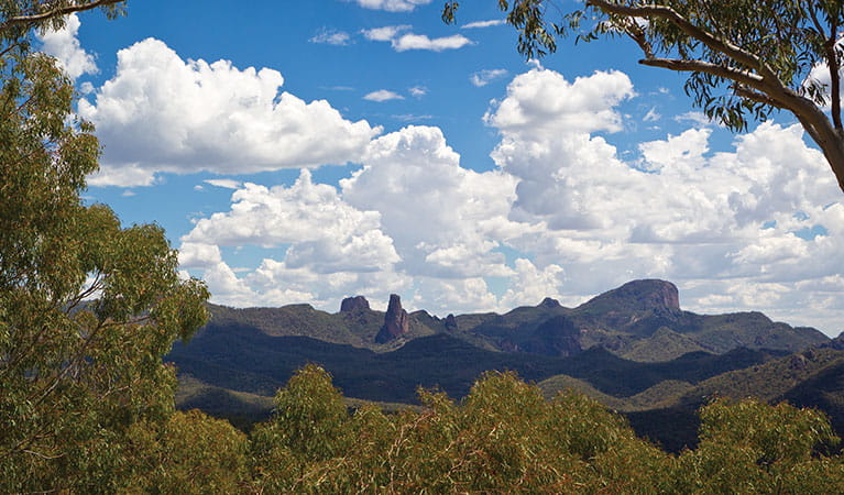 The view across the mountain range, Warrumbungle National Park. Photo: Rob Cleary