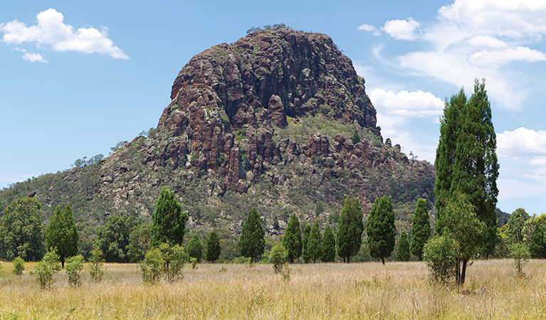 Rocky pinnacle, Warrumbungle National Park. Photo: Steve Alton