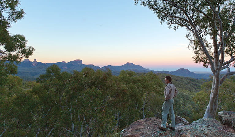 Whitegum lookout, Warrumbungle National Park. Photo: Rob Cleary