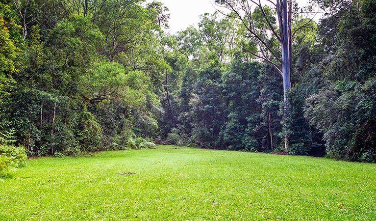 Coombadjha campground, Washpool National Park. Photo: Rob Cleary