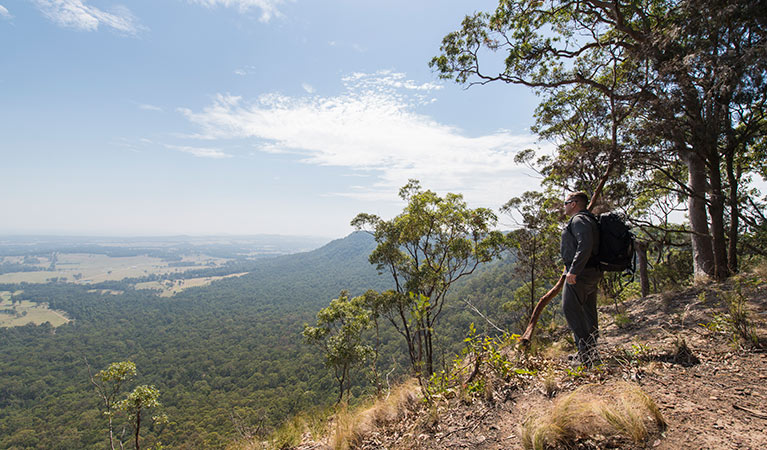 Great North Walk, Watagans National Park. Photo: John Spencer