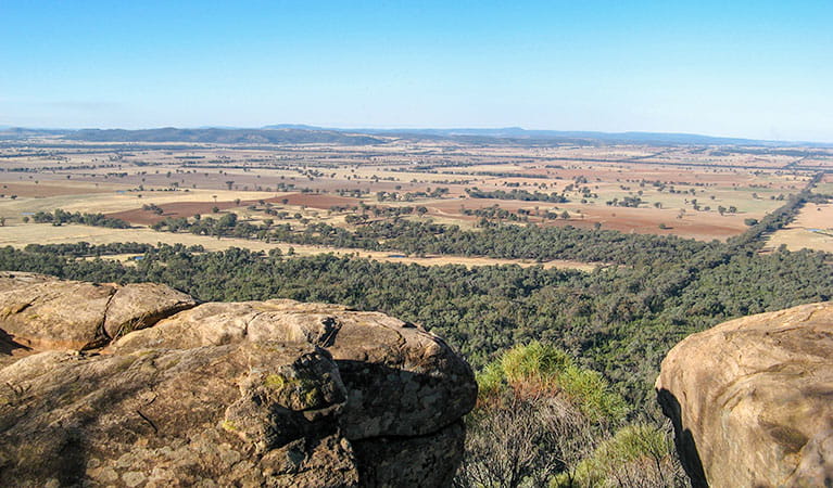Eualdrie lookout, Weddin Mountains National Park. Photo: OEH