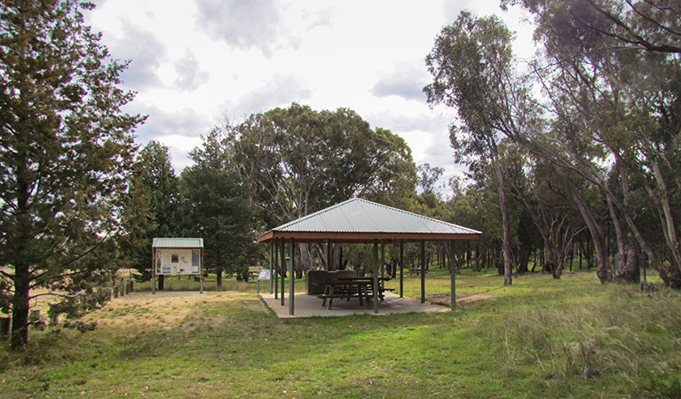 Ben Halls campground, Weddin Mountains National Park. Photo: M Cooper