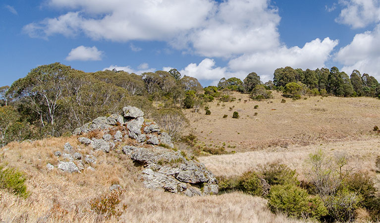 Platypus Pools walk, Werrikimbe National Park. Photo: John Spencer