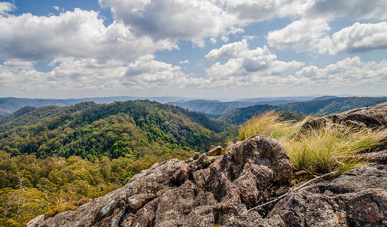 Lookout over the wilderness, Werrikimbe National Park. Photo: John Spencer