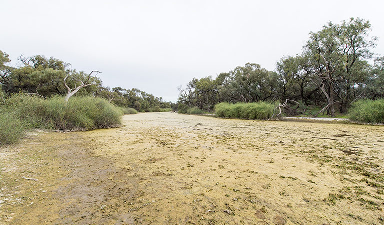 Dry creek, Willandra National Park. Photo: John Spencer