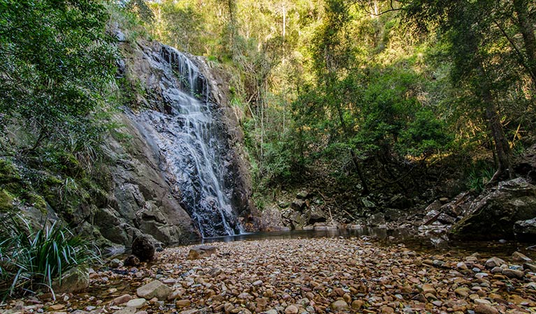 Waterfall walk, Willi Willi National Park. Photo: John Spencer