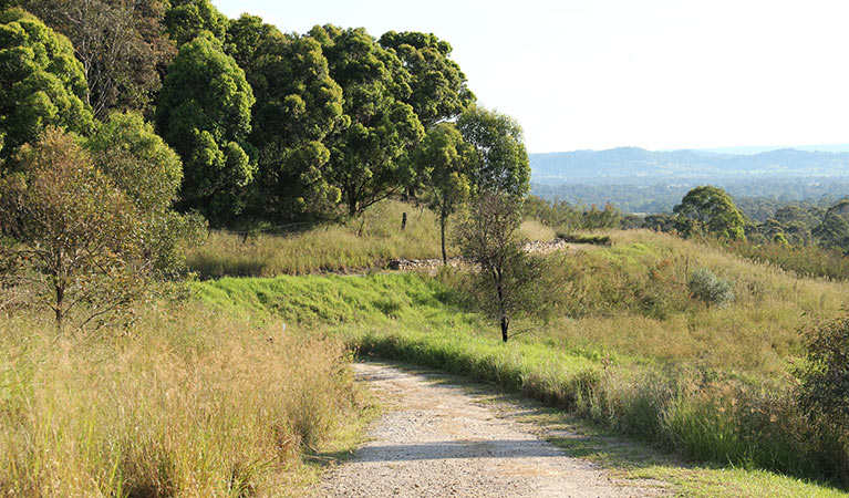 Loop trail, William Howe Regional Park. Photo: John Yurasek