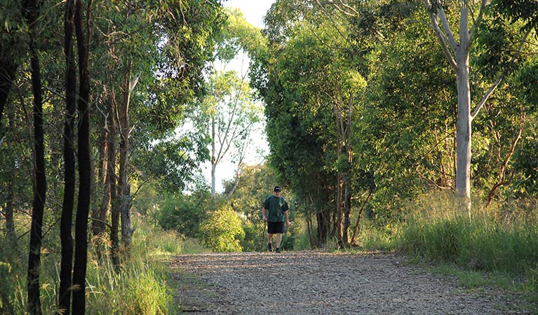 Loop trail, William Howe Regional Park. Photo: John Yurasek