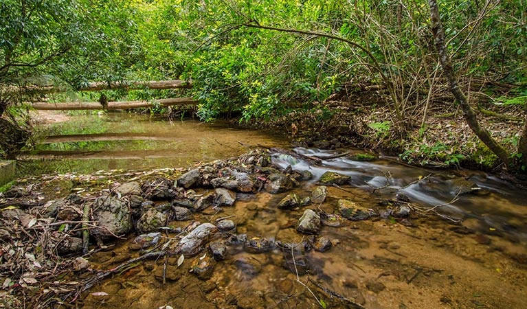 Maxwells Flat, Woko National Park. Photo: John Spencer