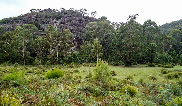 Deep Pass campground, Wollemi National Park. Photo: N Stone