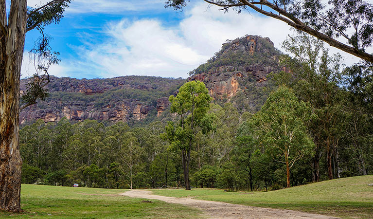 Newnes campground, Wollemi National Park Photo: Steve Alton