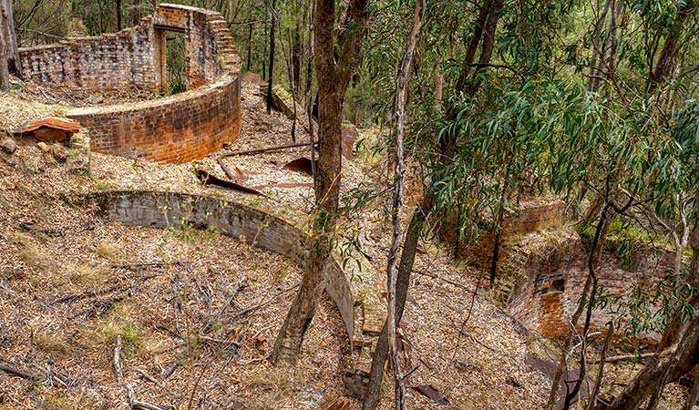 Newnes industrial ruins walk, Wollemi National Park. Photo: Steve Alton