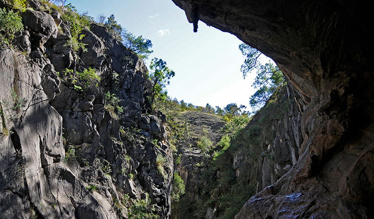 Rocky cliffs of Wombeyan Karst Conservation Reserve. Photo: Kevin McGrath