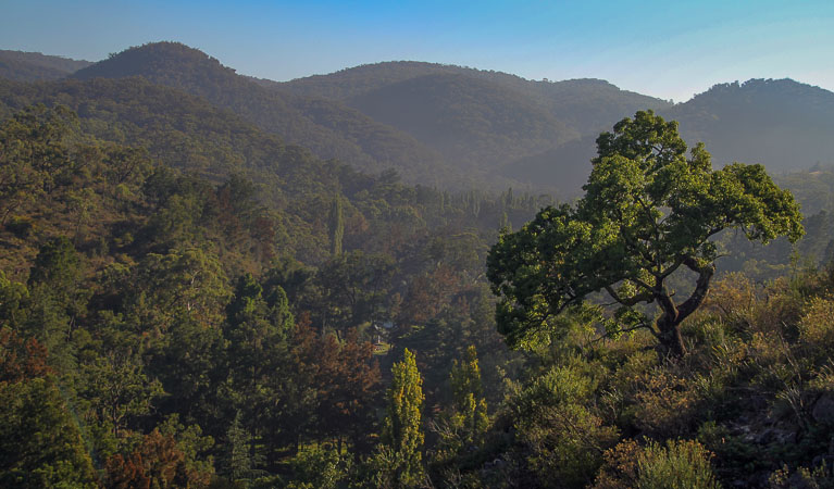 The mountains and forests of Wombeyan Karst Conservation Reserve. Photo: Stephen Babbka