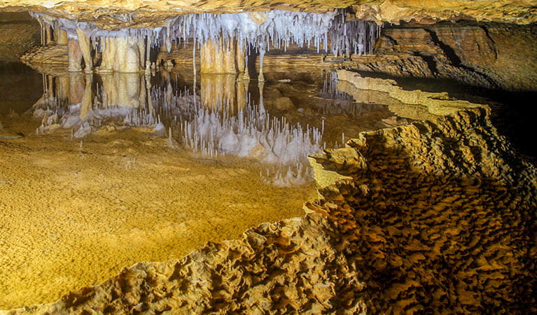 Reflected waters of Coronation cave, Wombeyan Karst Conservation Reserve. Photo: Steve Babka