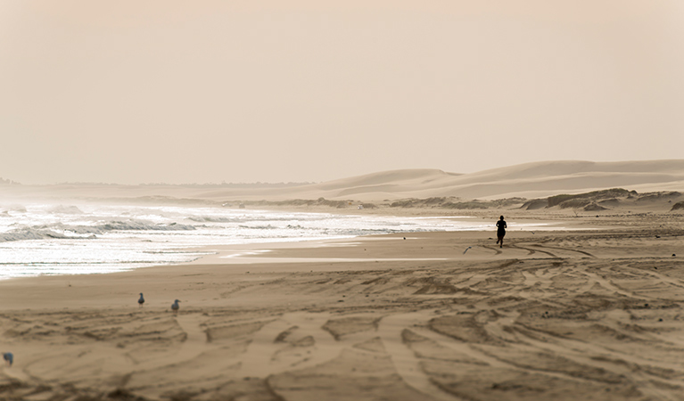 Worimi Conservation Lands. Photo: John Spencer