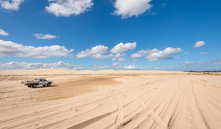 Worimi National Park. Photo: John Spencer