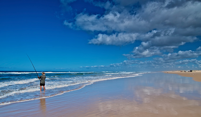 Worimi National Park. Photo: John Spencer