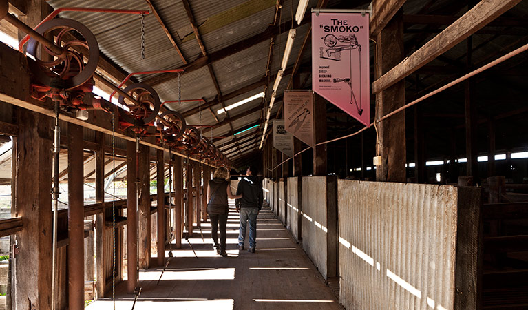 Yanga Woolshed, Yanga National Park. Photo: David Finnegan