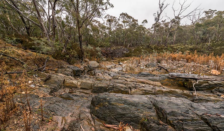 Dry creek, Yanununbeyan State Conservation Area. Photo: John Spencer