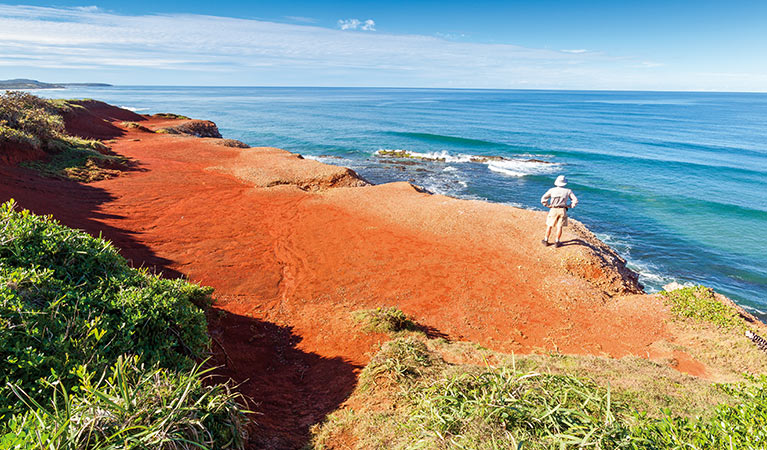 Remote coastline, Yuraygir National Park. Photo: Rob Cleary